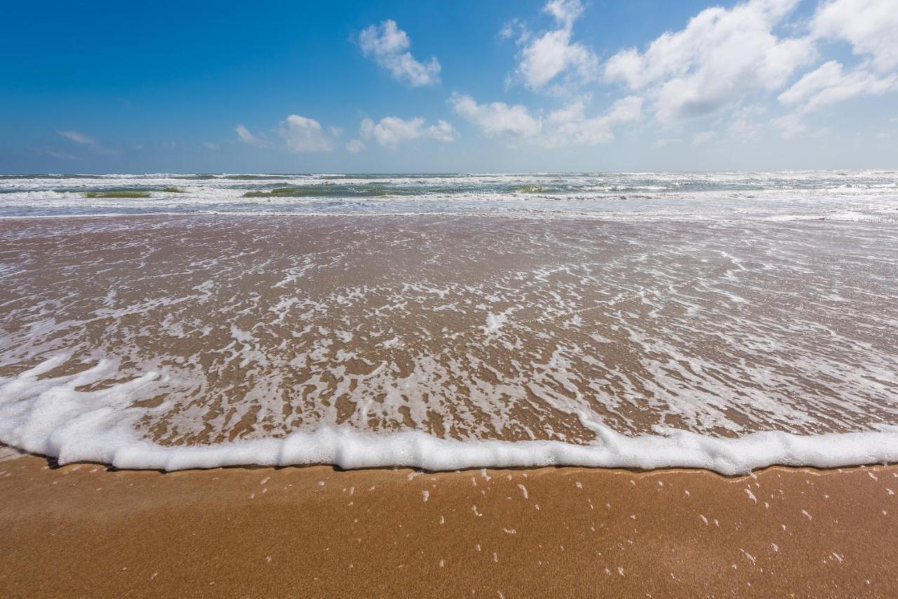 Sand Dollar Condominiums Daytona Beach Shores Exterior photo